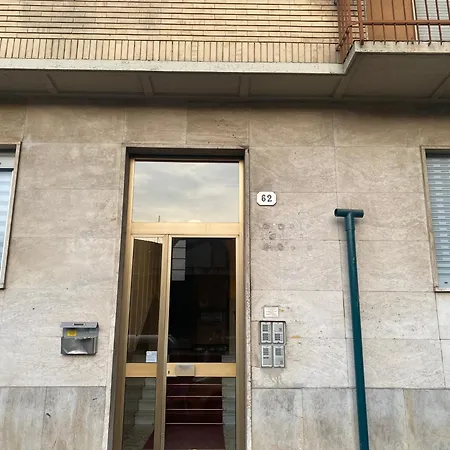 Attico White Rabbit *