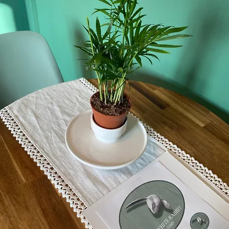 Attico White Rabbit * Turin