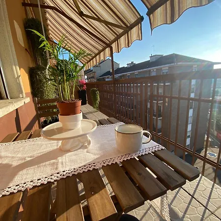 Attico White Rabbit *