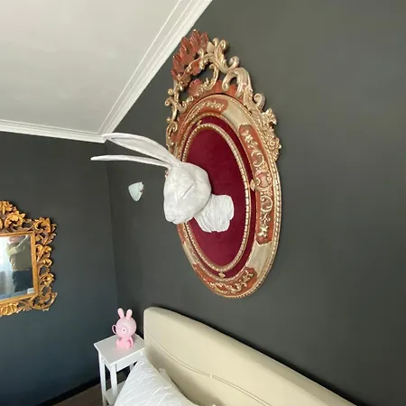 Attico White Rabbit *