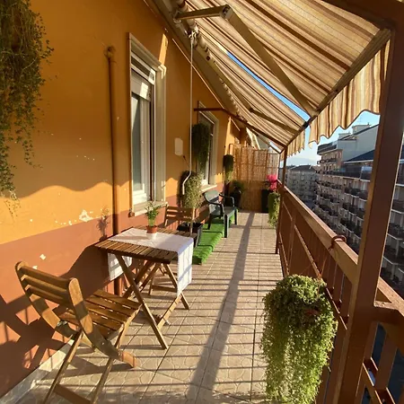 Attico White Rabbit تورينو