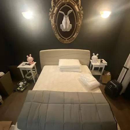 Attico White Rabbit *