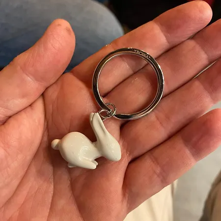 Attico White Rabbit تورينو